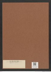 Diatomeae indet. Zeichnungen Sammlung Grunow Mappe 03284 (Herbarium_W_Grunow_drawings_Folder_03284)